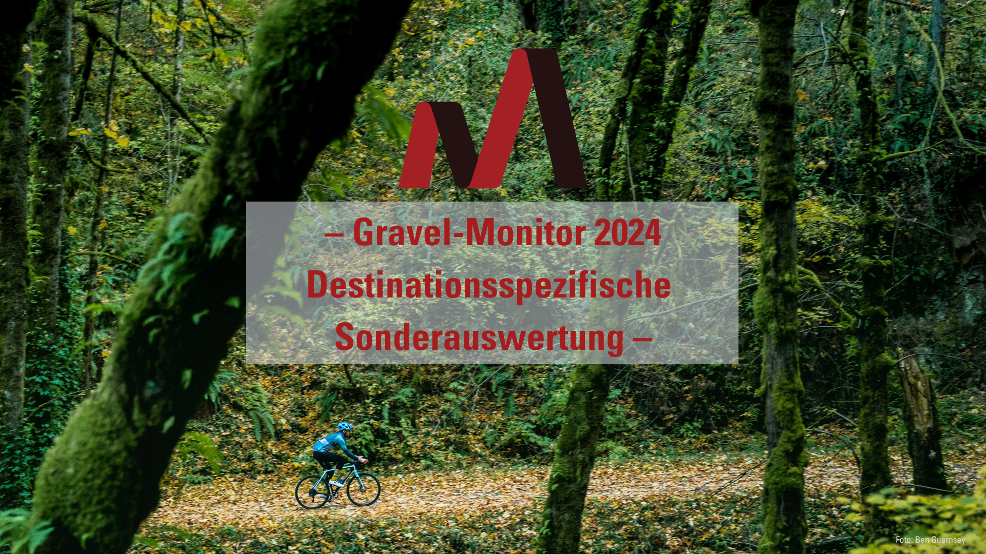 Destinationsspezifische Sonderauswertung